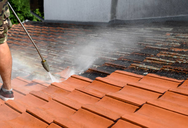 Best Concrete Pressure Washing  in Hoopeston, IL