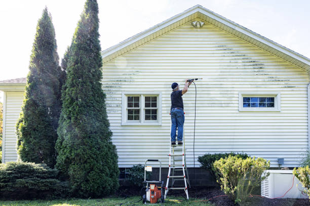 Best Deck Cleaning Services  in Hoopeston, IL