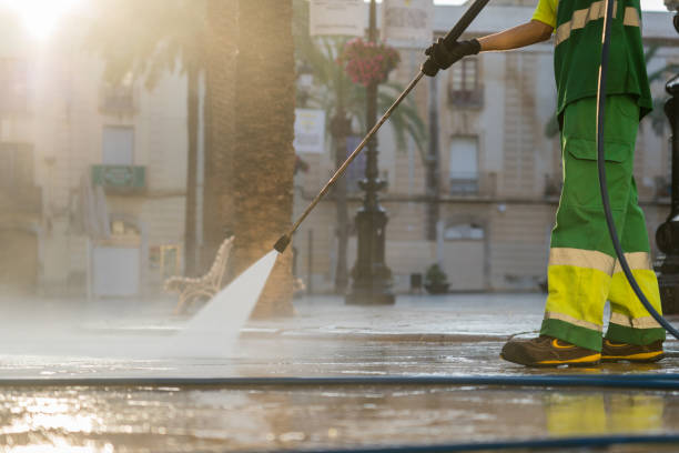 Best Fence Pressure Washing  in Hoopeston, IL